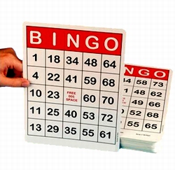 Jumbo bingokaarten met grote opdruk