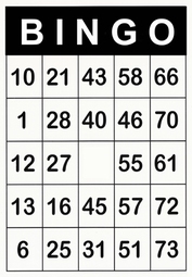 A4 bingokaarten met grote opdruk