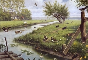 A4 Voorbeeldplaat sp Natuur