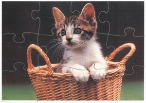 A4 puzzels Kattenkwaad