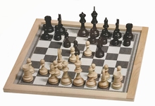 Klein magnetisch Schaakspel