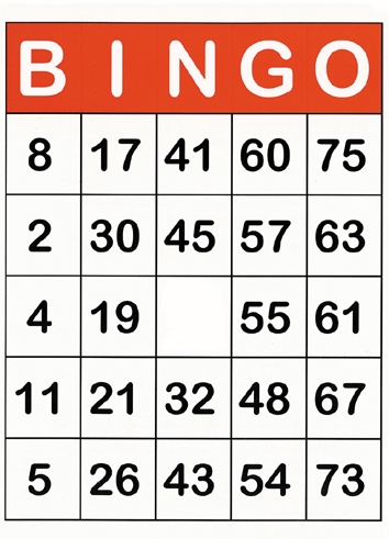 Jumbo bingokaarten met grote opdruk