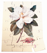 A3 puzzel Magnolia 