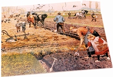 A3 puzzel Lente op de akker 