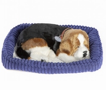 Perfecte hond Beagle 